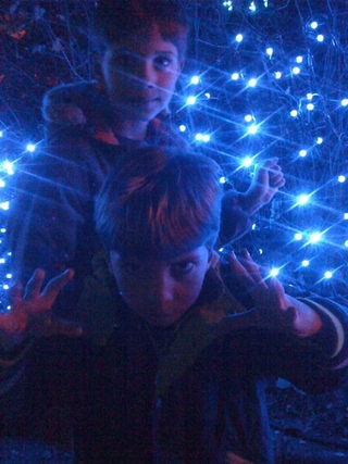 Illustration for article titled Photo Contest: Christmas Lights